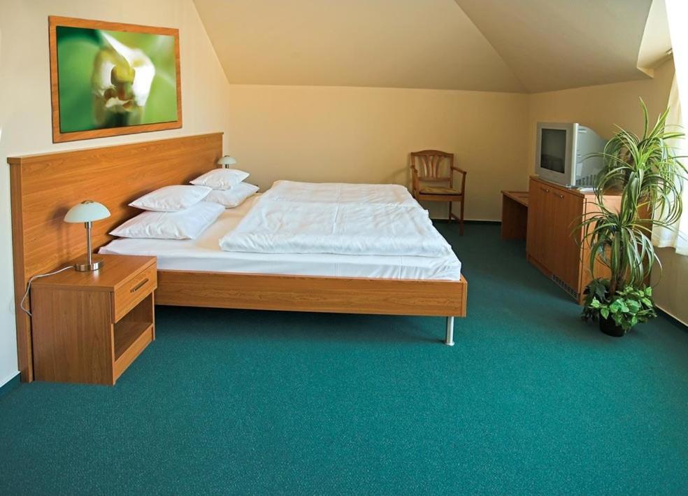 Promedicum Panzio Hotel Veszprém Room photo